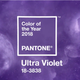 Space. Cosmos. Palo santo. Purp. Image: Pantone
